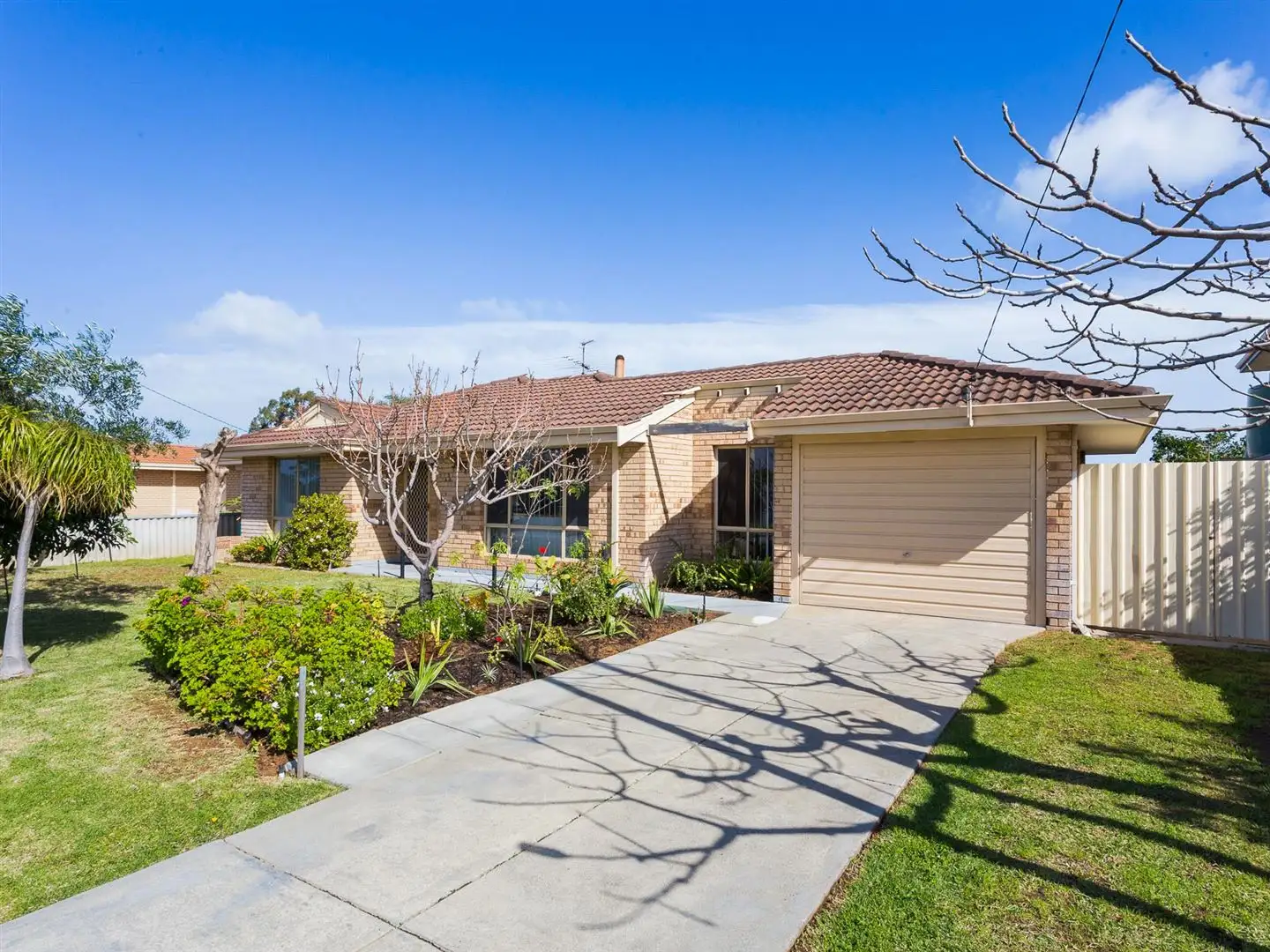Main view of Homely house listing, 347 Carrington Street, Hamilton Hill WA 6163