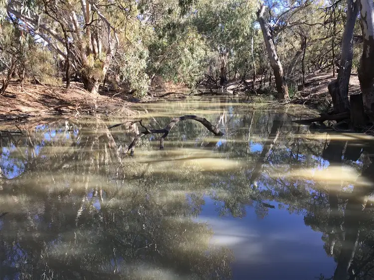 Main view of Homely rural property listing, ' Belarbone ', Nyngan NSW 2825