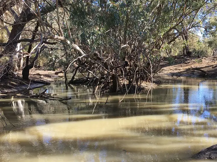 Second view of Homely rural property listing, ' Belarbone ', Nyngan NSW 2825