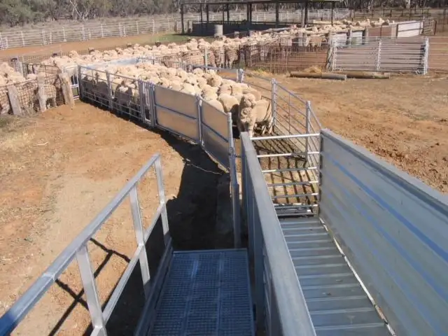 Seventh view of Homely rural property listing, ' Belarbone ', Nyngan NSW 2825