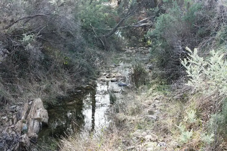 Main view of Homely land listing, 47 Bent Street, Mathinna TAS 7214