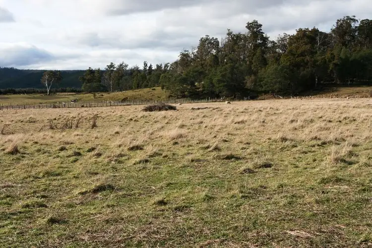 Fifth view of Homely land listing, 47 Bent Street, Mathinna TAS 7214