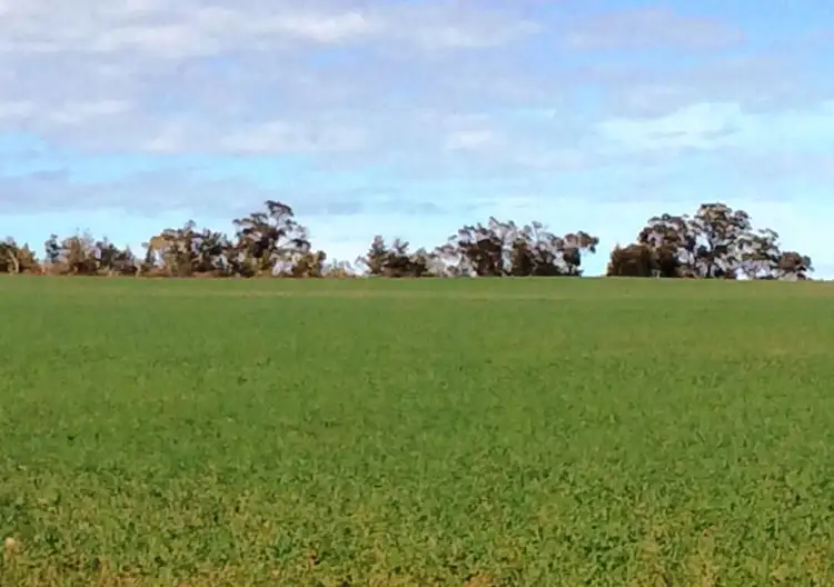 174 Morchard Road, Booleroo Centre SA 5482
