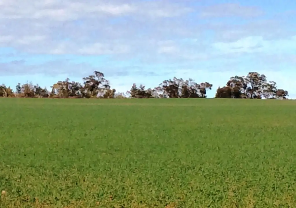 Main view of Homely rural property listing, 174 Morchard Road, Booleroo Centre SA 5482