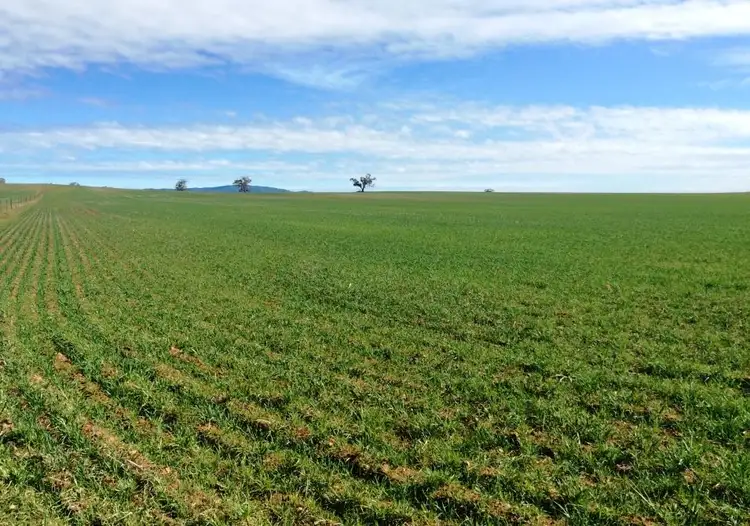 Second view of Homely rural property listing, 174 Morchard Road, Booleroo Centre SA 5482