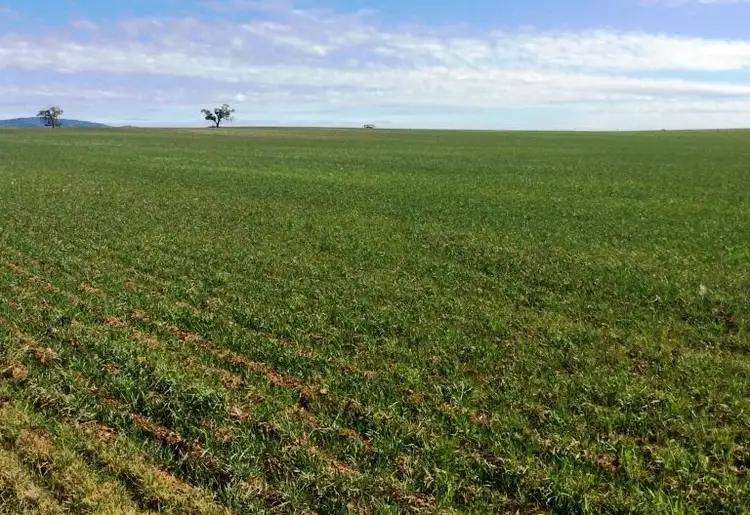 Third view of Homely rural property listing, 174 Morchard Road, Booleroo Centre SA 5482