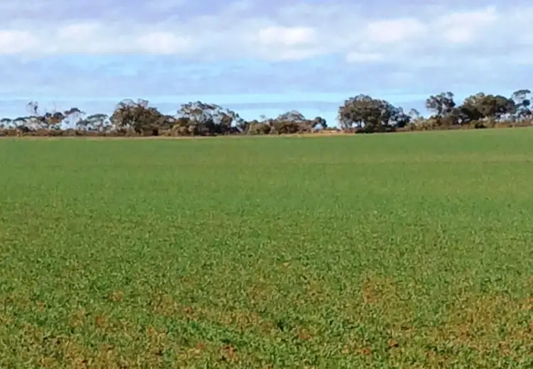 Fourth view of Homely rural property listing, 174 Morchard Road, Booleroo Centre SA 5482