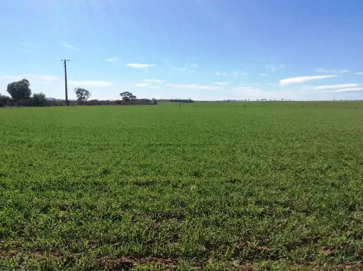 Fifth view of Homely rural property listing, 174 Morchard Road, Booleroo Centre SA 5482