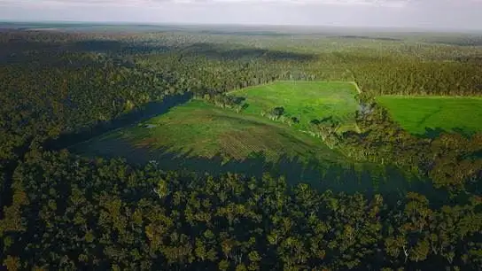 Second view of Homely rural property listing, Lot 3930 Ford Road, Manjimup WA 6258