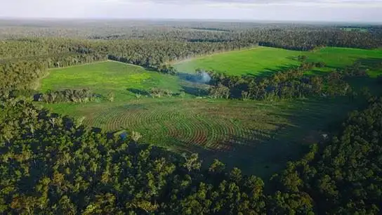 Third view of Homely rural property listing, Lot 3930 Ford Road, Manjimup WA 6258