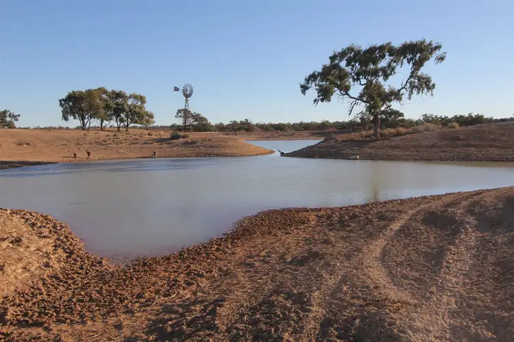 Main view of Homely rural property listing, . Netley Station, Broken Hill NSW 2880