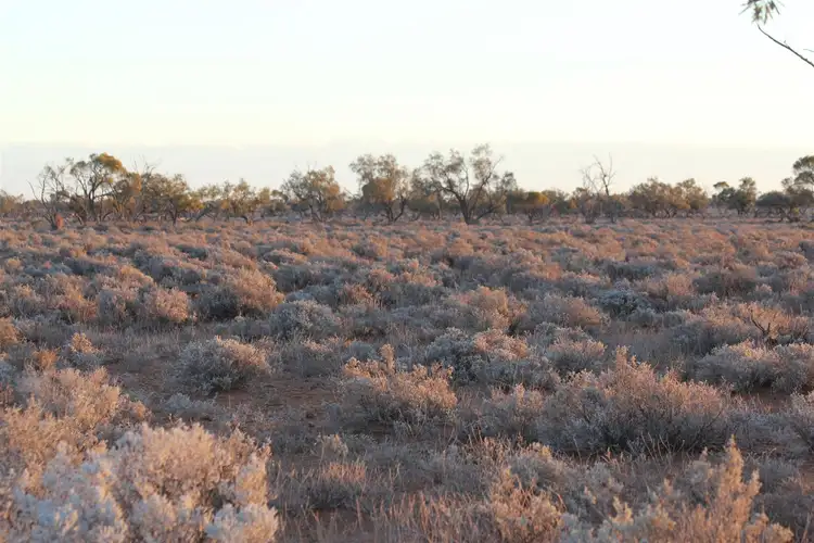 Second view of Homely rural property listing, . Netley Station, Broken Hill NSW 2880