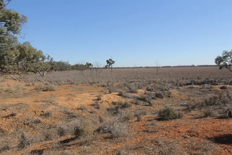 Third view of Homely rural property listing, . Netley Station, Broken Hill NSW 2880