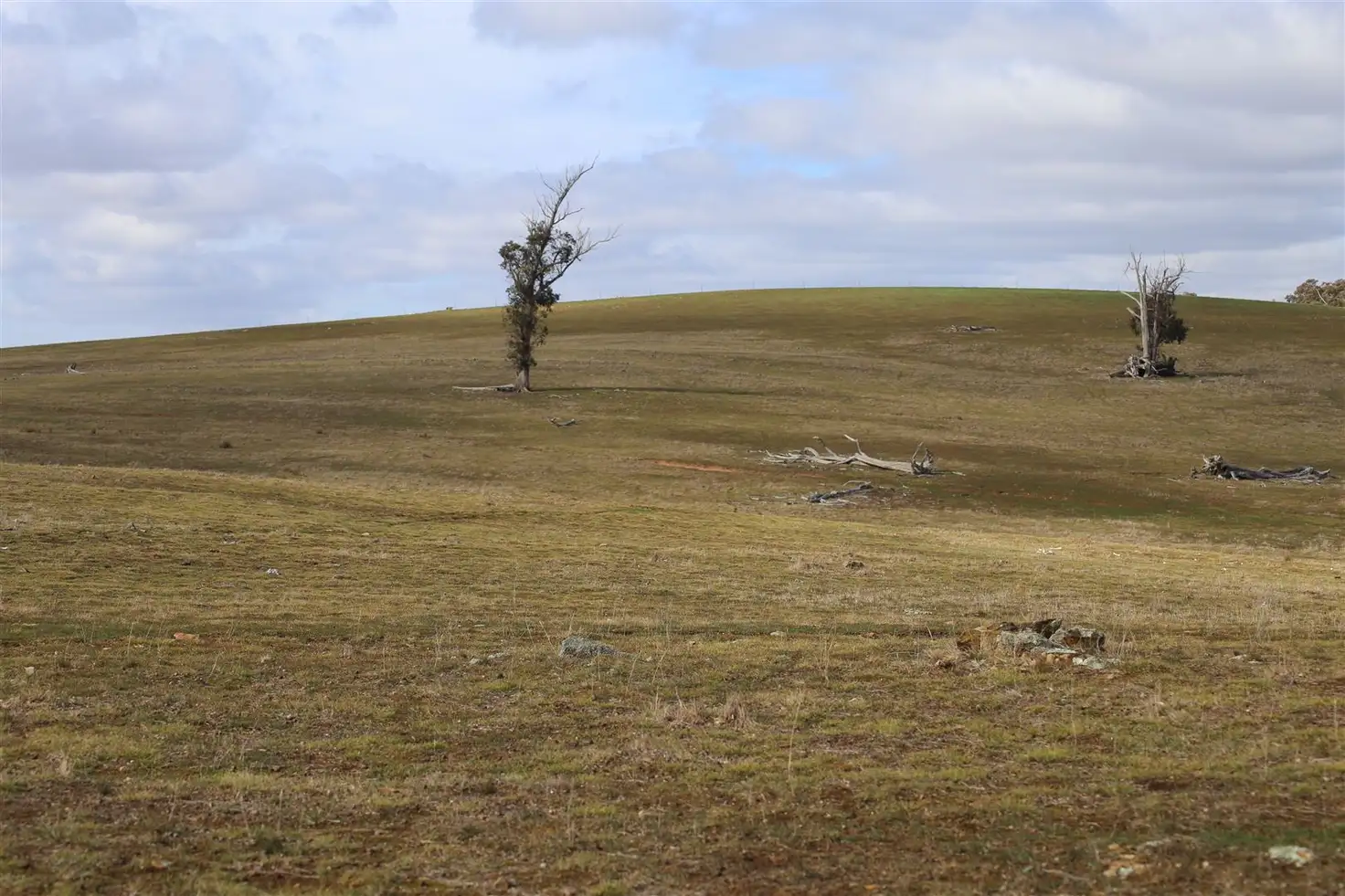 Main view of Homely rural property listing, Address available on request