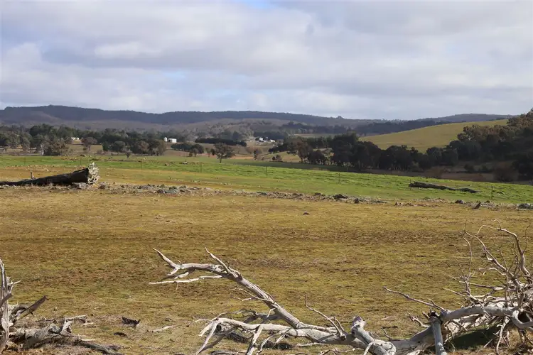 Fourth view of Homely rural property listing, Address available on request