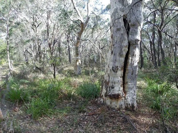 83 Victoria Street, Penrose NSW 2579