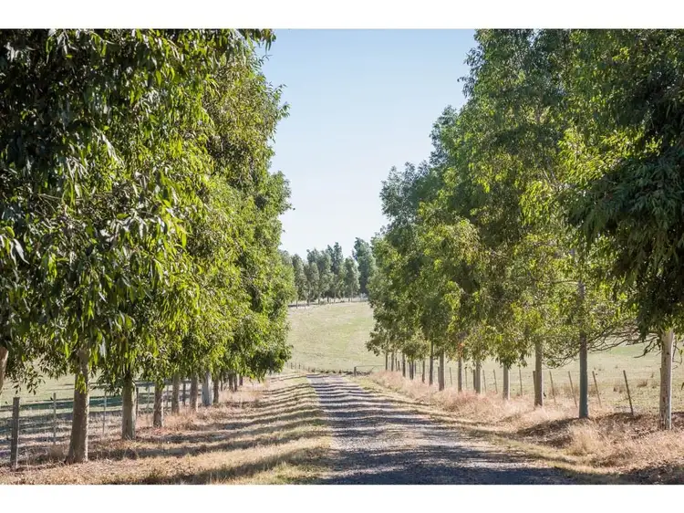 Fifth view of Homely rural property listing, 1371 Euroa-Mansfield Road, Gooram VIC 3666