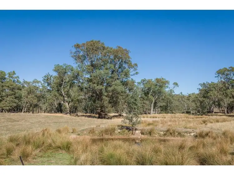 Sixth view of Homely rural property listing, 1371 Euroa-Mansfield Road, Gooram VIC 3666