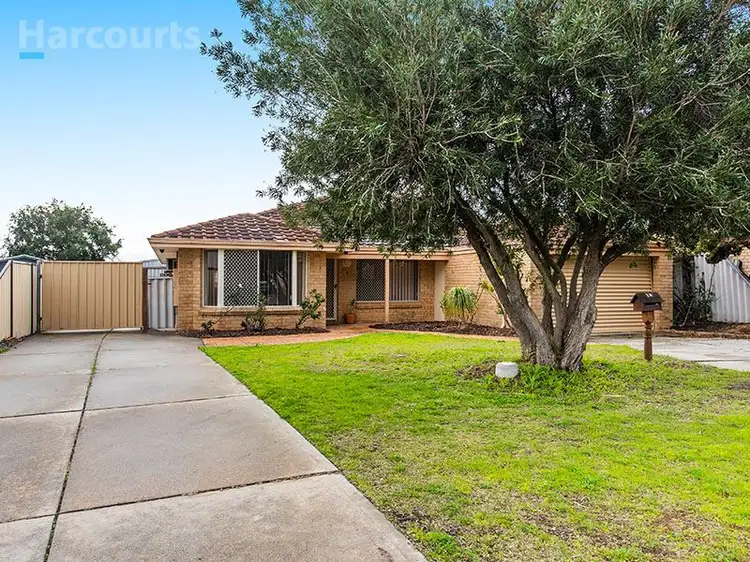 Third view of Homely house listing, 19 Trephina Mews, Clarkson WA 6030