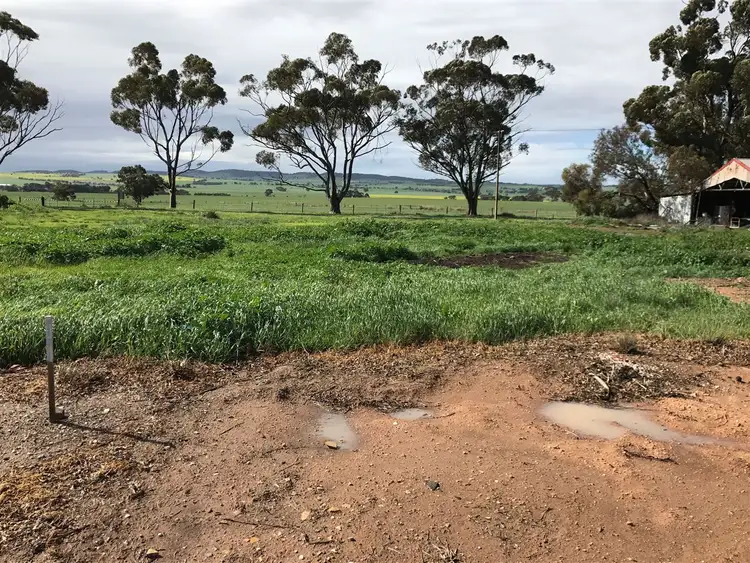Fourth view of Homely land listing, Lot 301 Roche Street, Freeling SA 5372