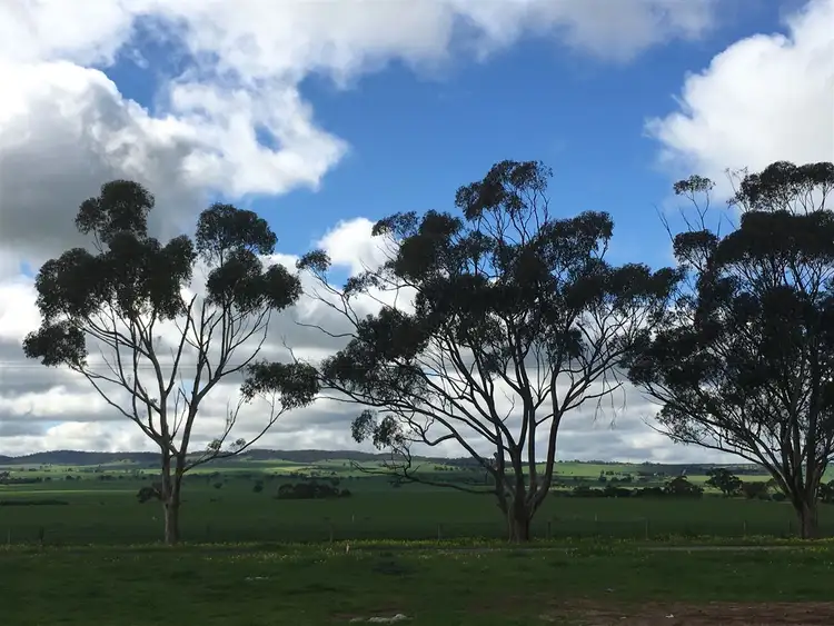 Fourth view of Homely land listing, Lot 300 Roche Street, Freeling SA 5372