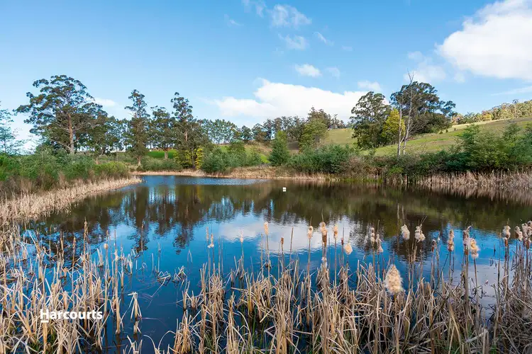 Seventh view of Homely land listing, 7721 Channel Highway, Cygnet TAS 7112