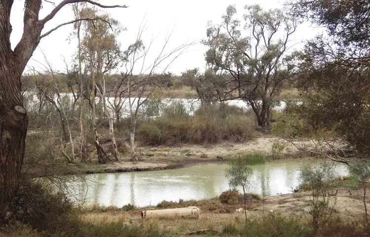 Third view of Homely rural property listing, 36 Eckert Road, Winkie SA 5343