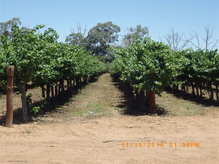 Fourth view of Homely rural property listing, 36 Eckert Road, Winkie SA 5343