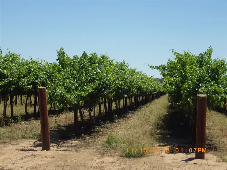 Fifth view of Homely rural property listing, 36 Eckert Road, Winkie SA 5343