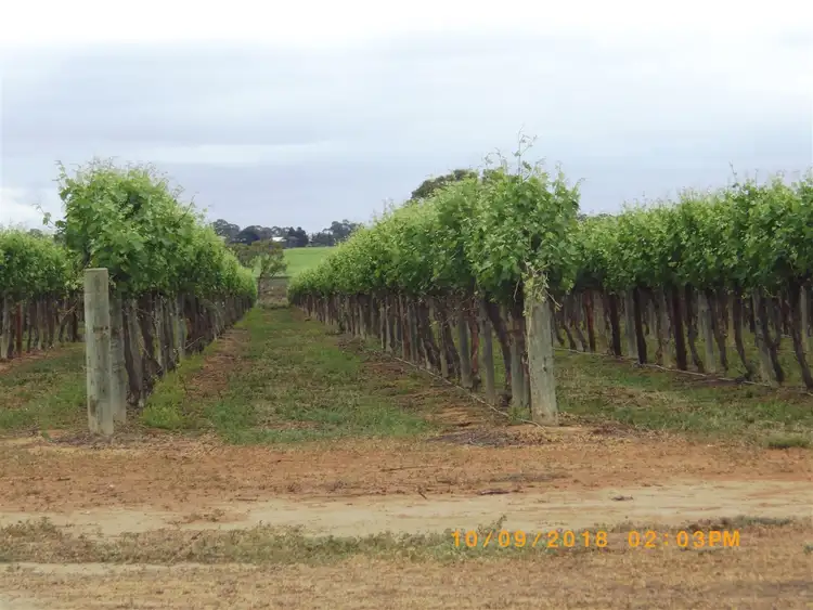 Sixth view of Homely rural property listing, 36 Eckert Road, Winkie SA 5343