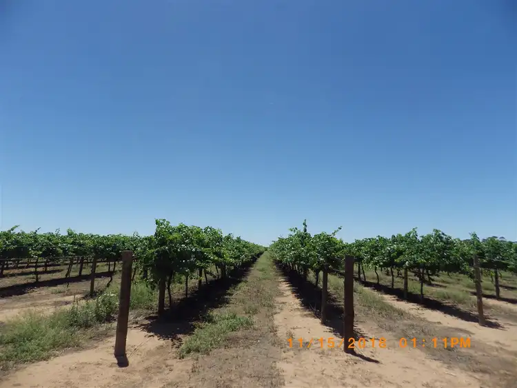 Seventh view of Homely rural property listing, 36 Eckert Road, Winkie SA 5343