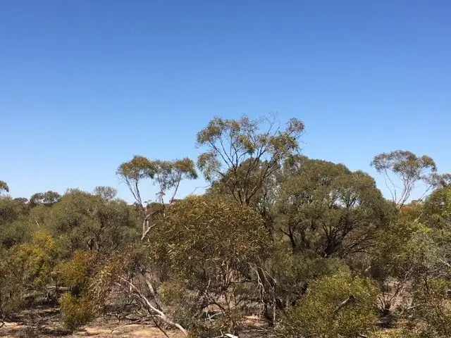 Sixth view of Homely rural property listing, 32A John Road, Walpeup VIC 3507