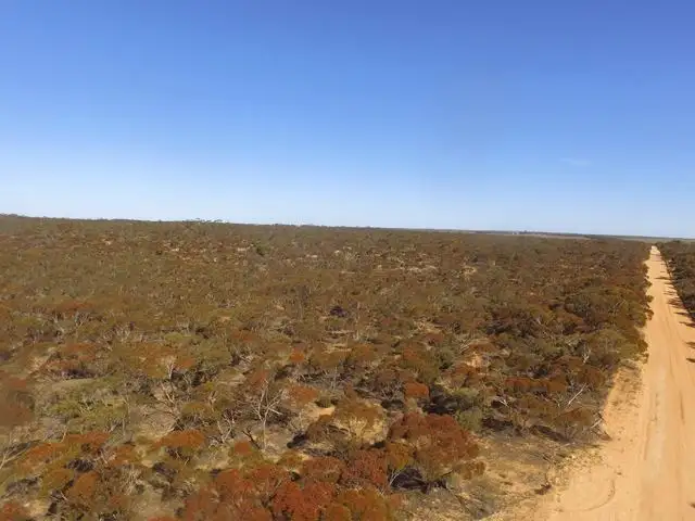 Seventh view of Homely rural property listing, 32A John Road, Walpeup VIC 3507