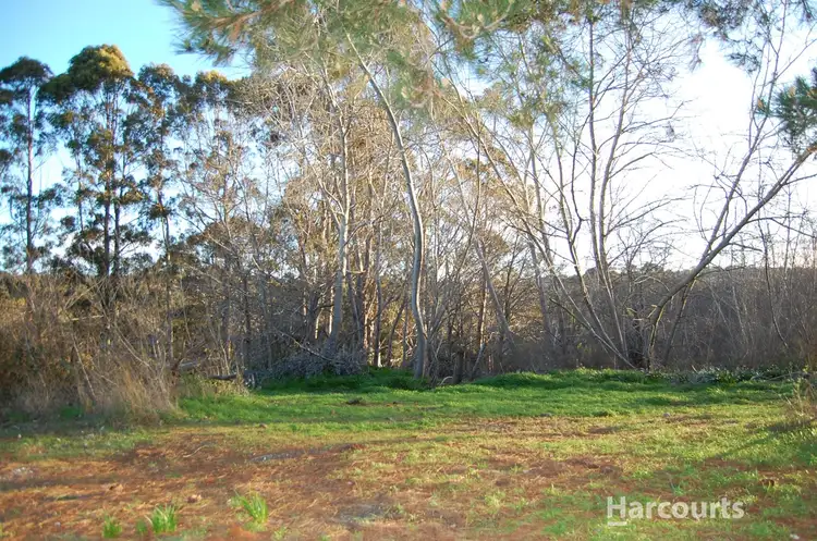 5 Richards Street, Lefroy TAS 7252