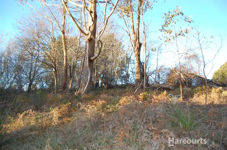 Second view of Homely land listing, 5 Richards Street, Lefroy TAS 7252