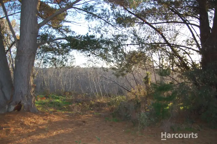Third view of Homely land listing, 5 Richards Street, Lefroy TAS 7252