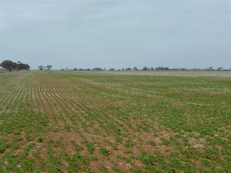 Lot 2 Secombs Road, Windsor SA 5501