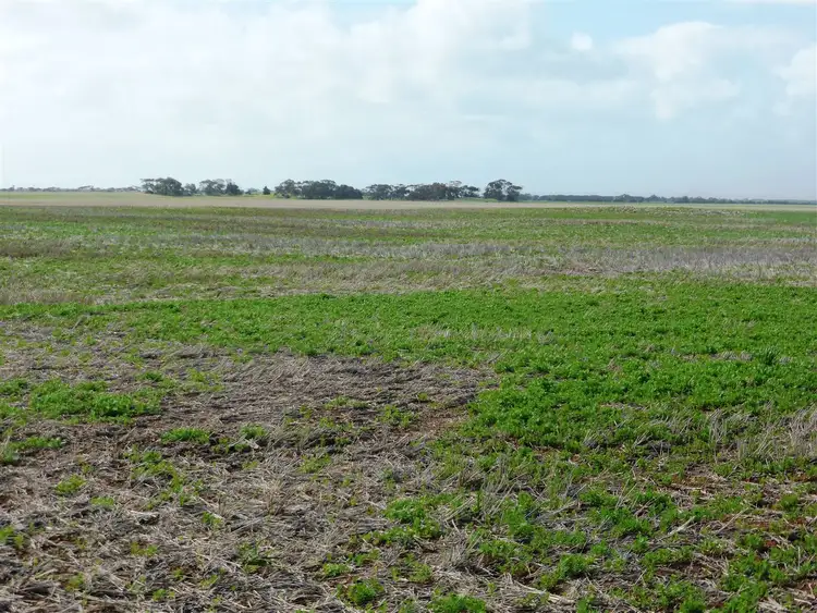 Seventh view of Homely rural property listing, Lot 2 Secombs Road, Windsor SA 5501