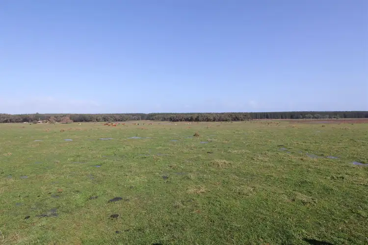 Sixth view of Homely rural property listing, 780 Henkes Road, Mumbannar VIC 3304