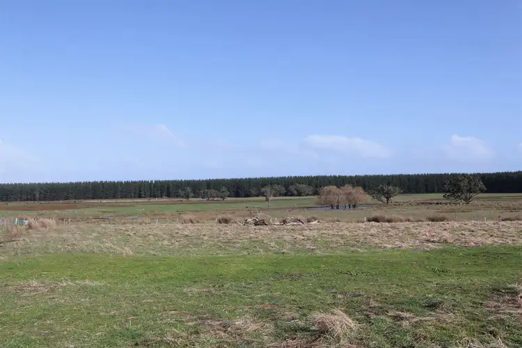 Seventh view of Homely rural property listing, 780 Henkes Road, Mumbannar VIC 3304