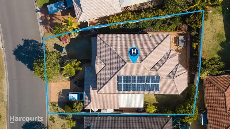 Sixth view of Homely house listing, 19 Brindabella Drive, Shell Cove NSW 2529