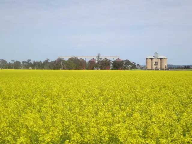 Main view of Homely rural property listing, Address available on request
