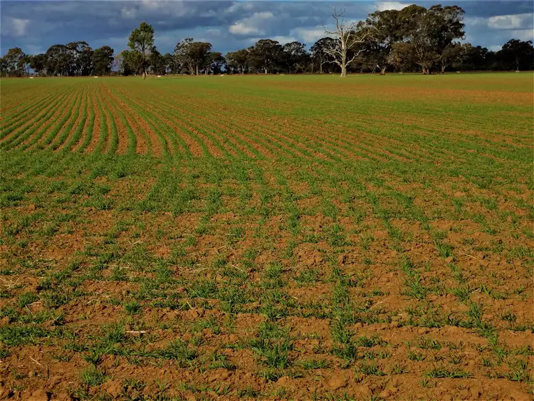 Sixth view of Homely rural property listing, . Rothiemay & Ravenswood, Berrigan NSW 2712