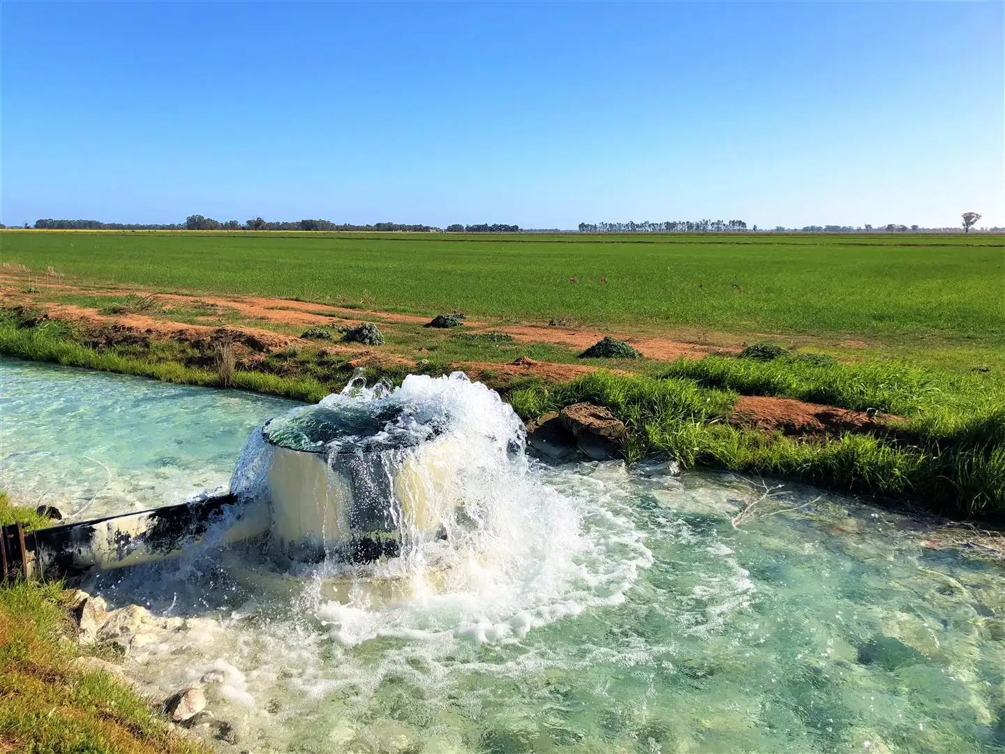 Main view of Homely rural property listing, . Reatta, Blighty NSW 2713