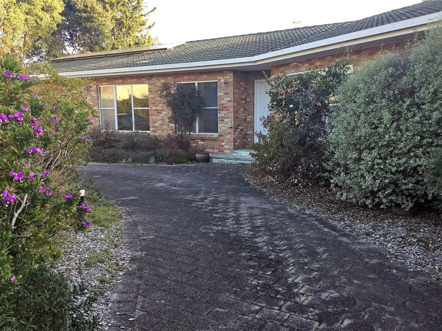 Main view of Homely house listing, 10 Honeysuckle Close, Burrill Lake NSW 2539