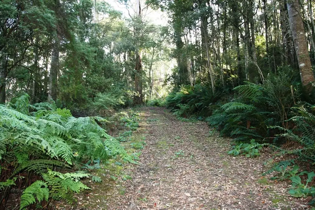 Main view of Homely land listing, P1551+ St Columba Falls Road, Pyengana TAS 7216