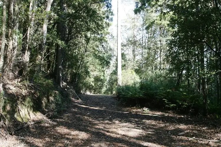 Fourth view of Homely land listing, P1551+ St Columba Falls Road, Pyengana TAS 7216