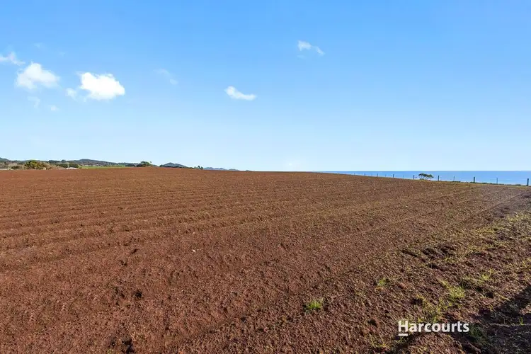 Fifth view of Homely rural property listing, . Bass Highway, Boat Harbour Beach TAS 7321