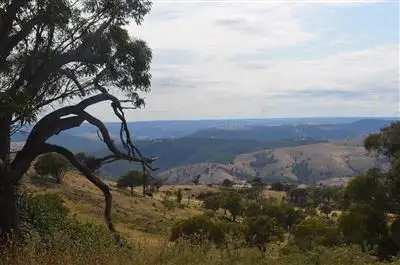 Fifth view of Homely rural property listing, Lot 13 Peach Gardens Road, Bigga NSW 2583