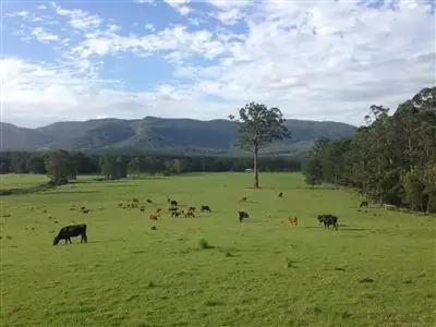 Main view of Homely rural property listing, 259 Mt Scanzi Rd, Kangaroo Valley NSW 2577